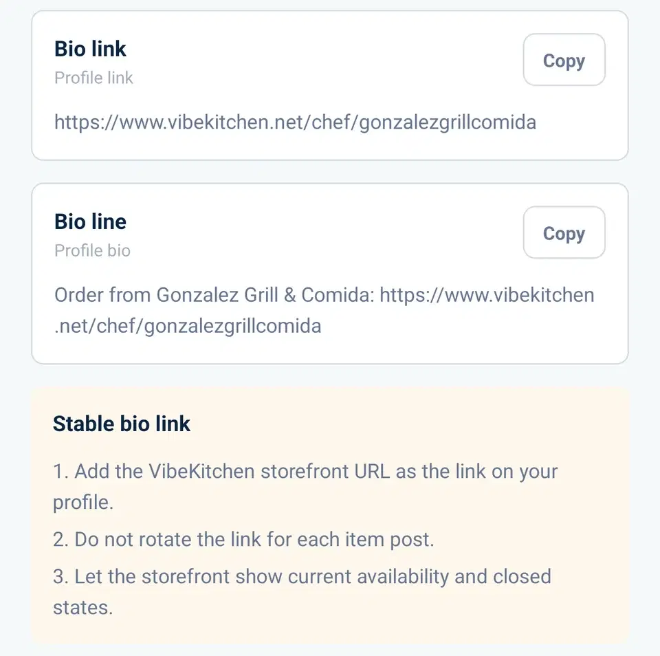 Sample Link in Bio Kit in the VibeKitchen app: the storefront address for the profile link, a suggested bio line, and setup steps.